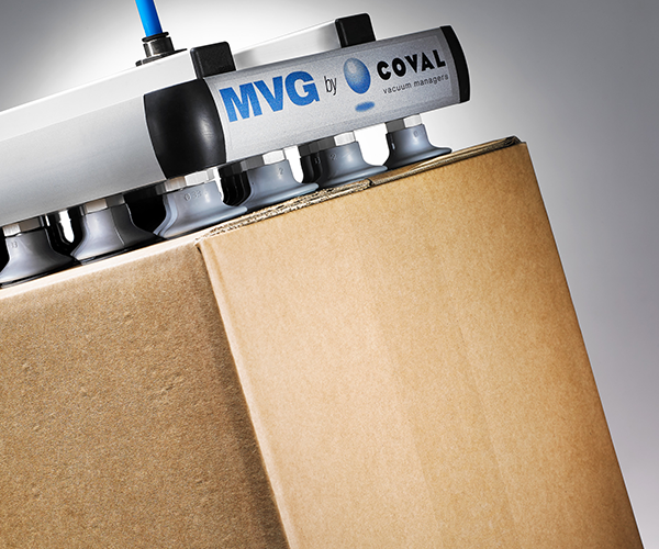 Робот COVAL CVGC240X120