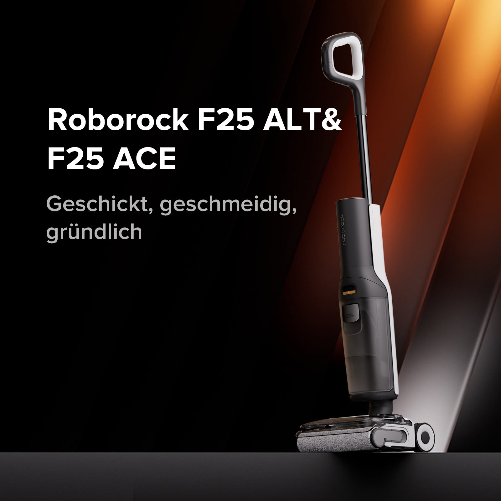 Робот Roborock Roborock F25 schwarz