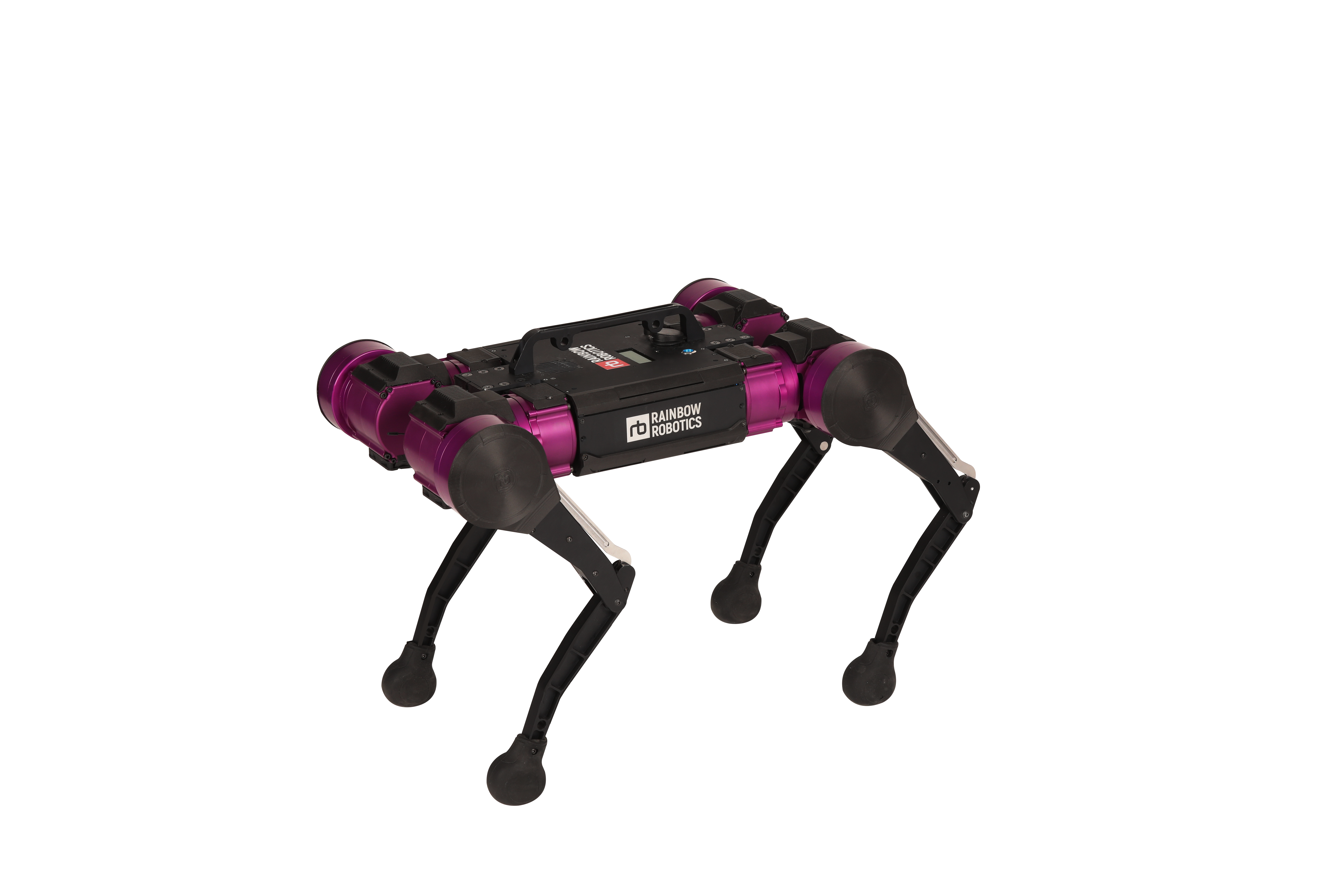 Робот Rainbow Robotics RBQ