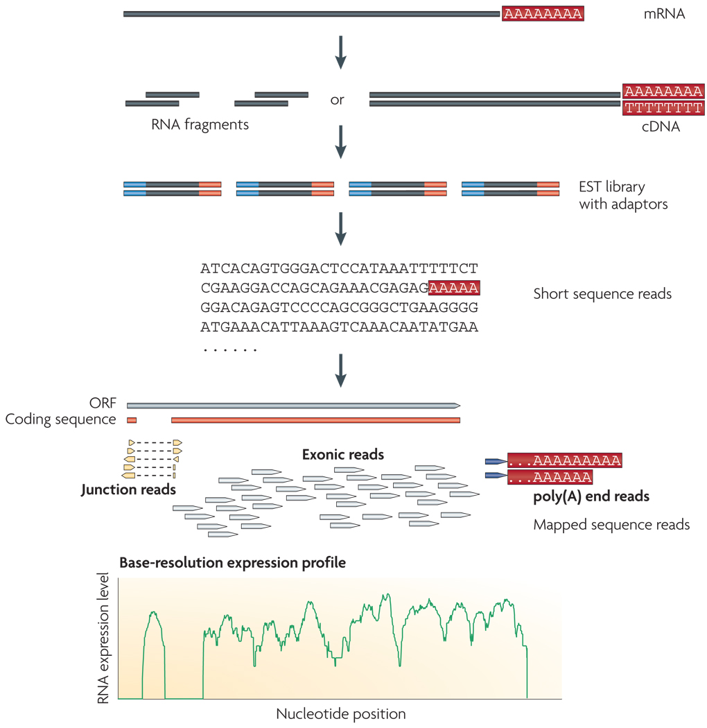 RNA drive tuning with DigitalMotion — фото 5