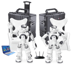 NAO Robot Starter Pack Duo — фото 2