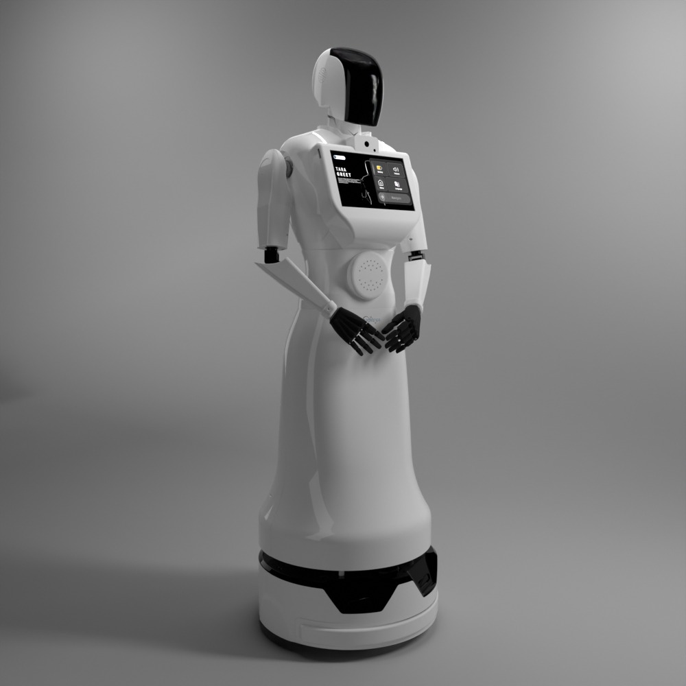 Гуманоидные роботы iHub Robotics