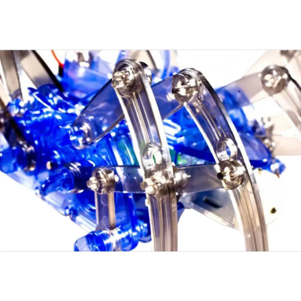 DFRobot Spider Robot Frame Kit — фото 4