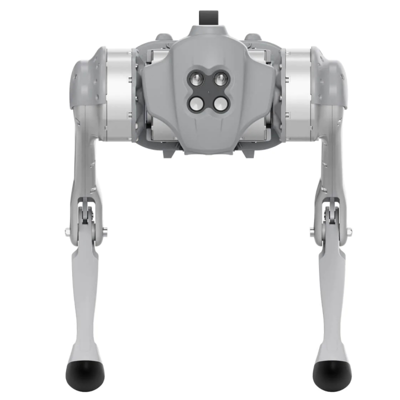 quadruped go1 akku 6000 mah grau — фото 2