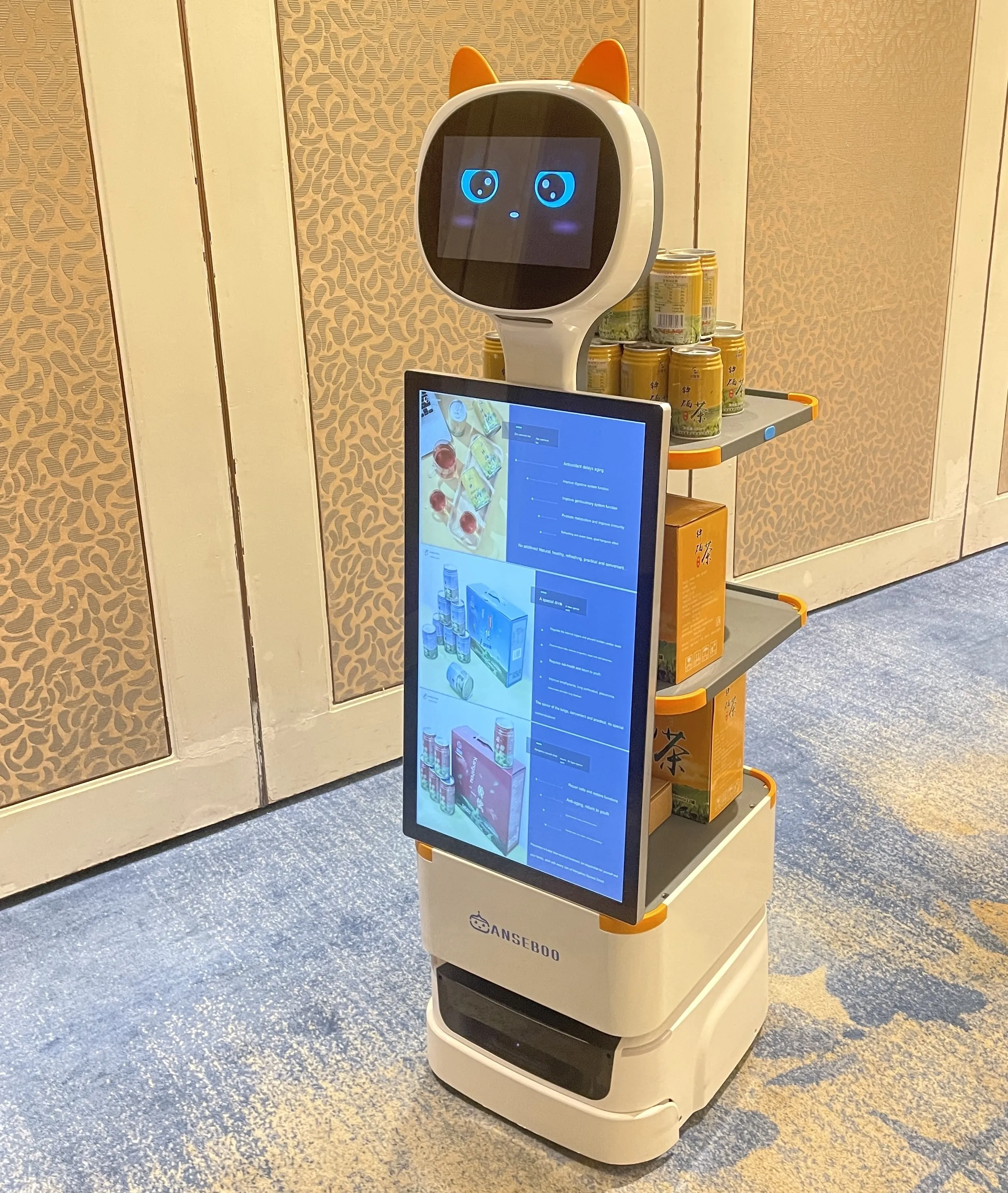Робот PadBot P2