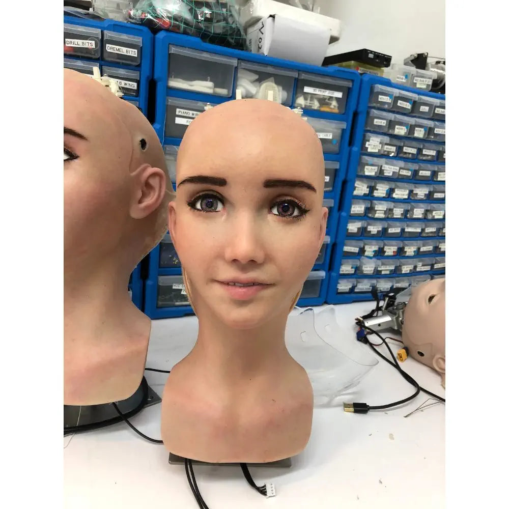 Hanson Robotics Sophia Robot, R&D Version — фото 3