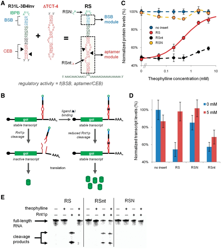 RNA drive tuning with DigitalMotion — фото 2
