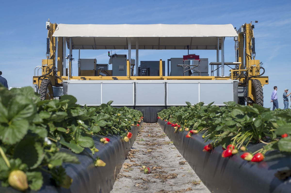 Робот Harvest CROO Robotics BERRY Harvesting Robot