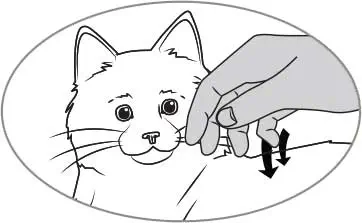 Ageless Innovations Tabby Cat Interactive Companion — фото 5