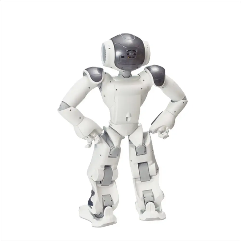 ZoraBots Nao V6 w/ Zora Solution — фото 4