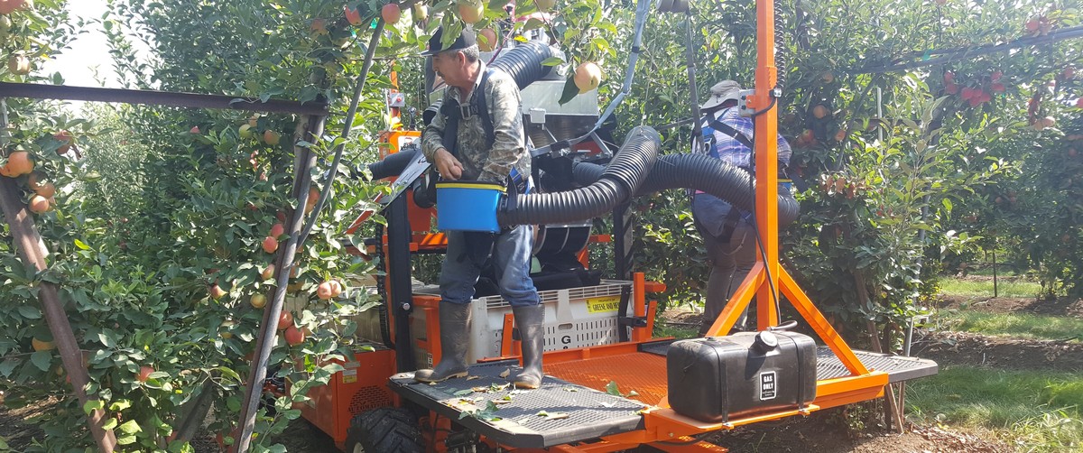 Робот FFRobotics FF Robotic Harvester
