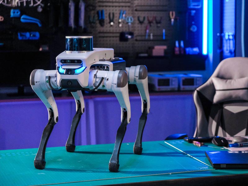 Робототехника XGO Robot XGO Mini2s with Radar AI Robot Dog (EU)