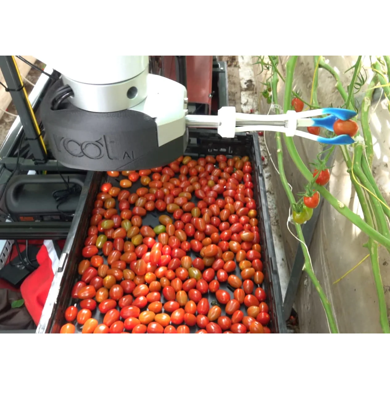 Робот Unknown Root AI Virgo Agricultural Robot Intelligent Real-time Detection