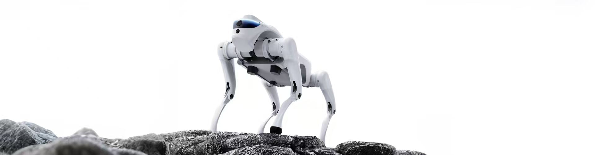Cyberstars Cyber1 Pro Robotic Dog EU (Tech Gray) — фото 5