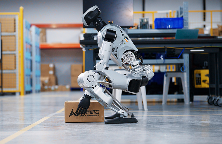 Limx Dynamics Oli EDU Humanoid Robot — фото 5