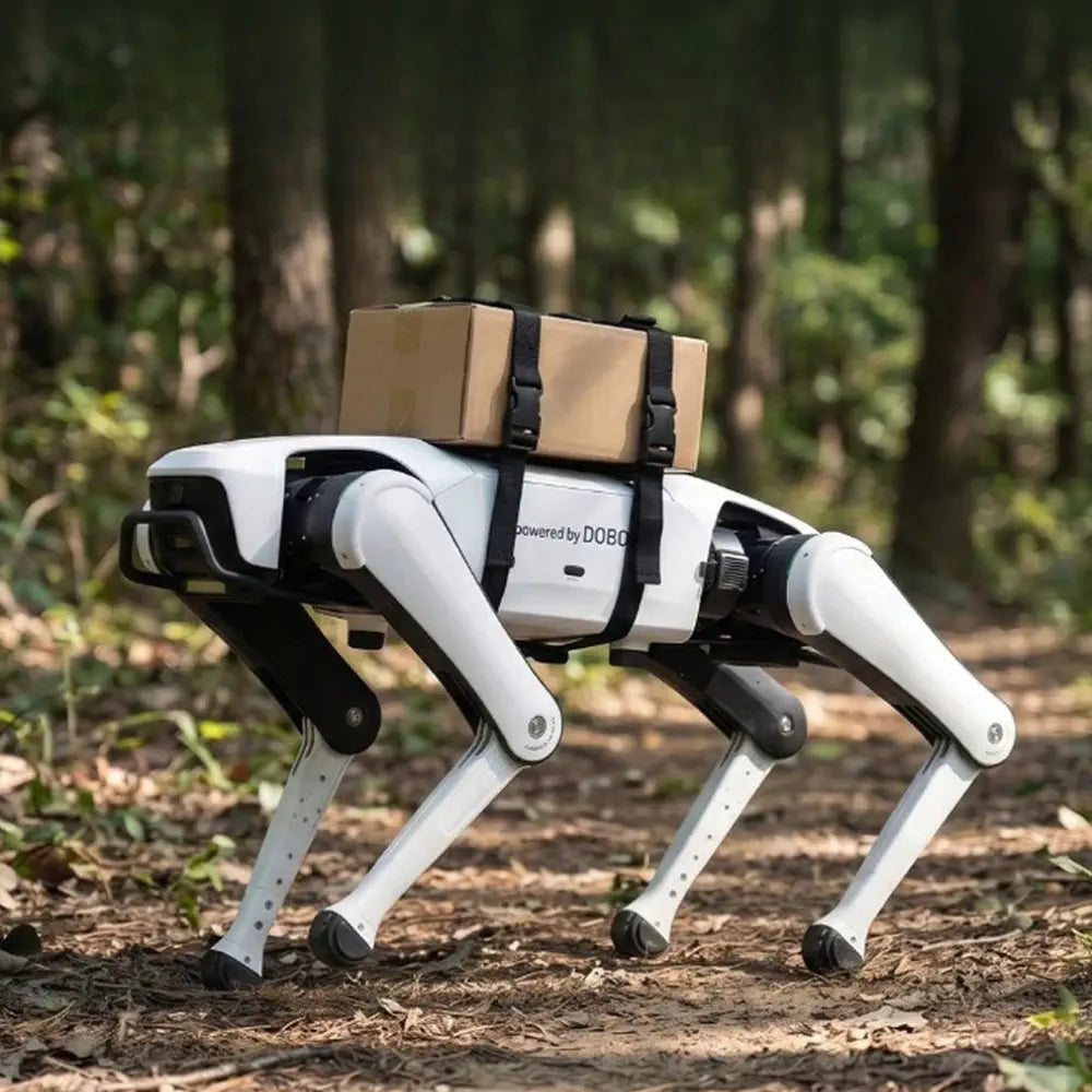 Dobot Rover X1 Explorer Vision Quadruped Robot — фото 3