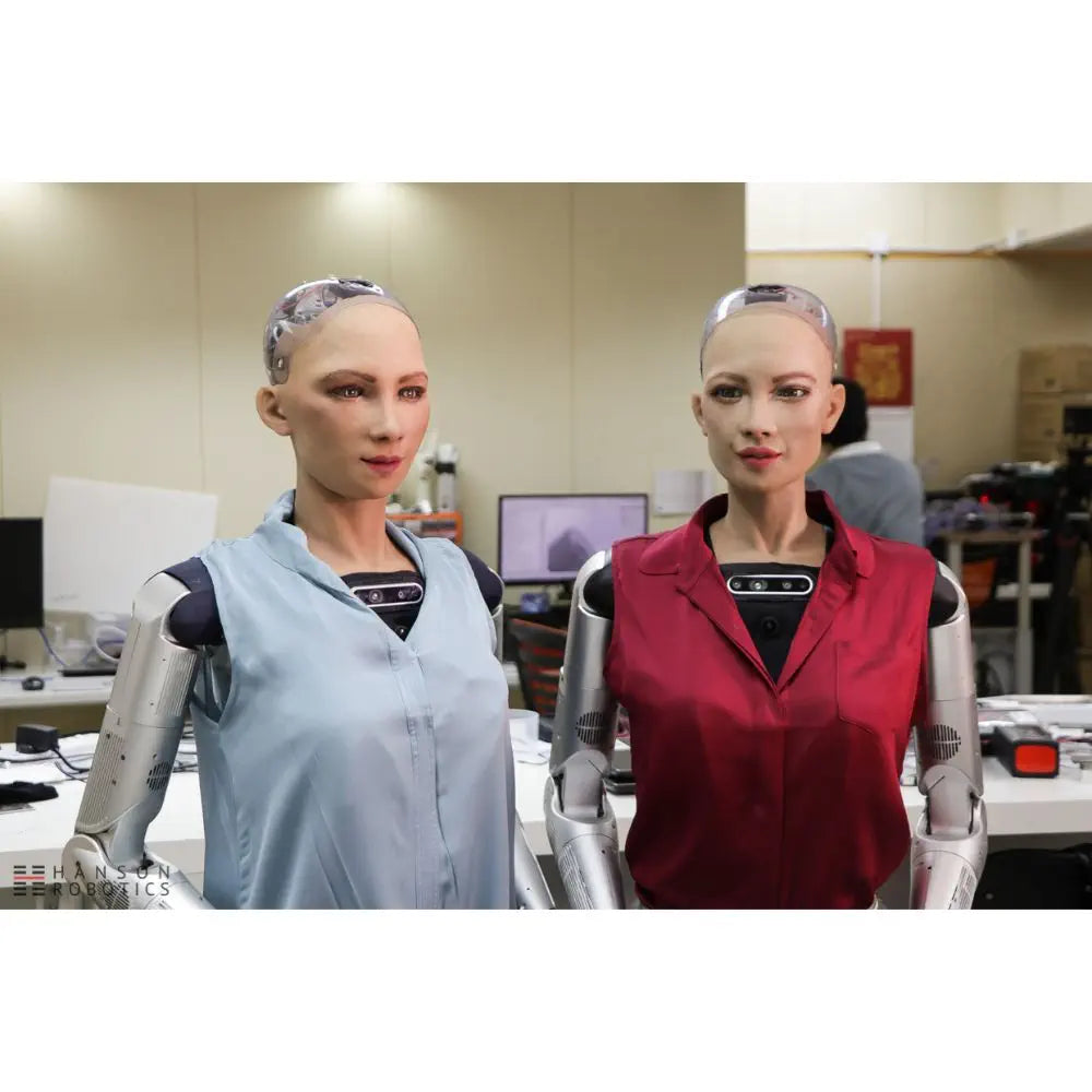 Hanson Robotics Sophia Robot, R&D Version — фото 2