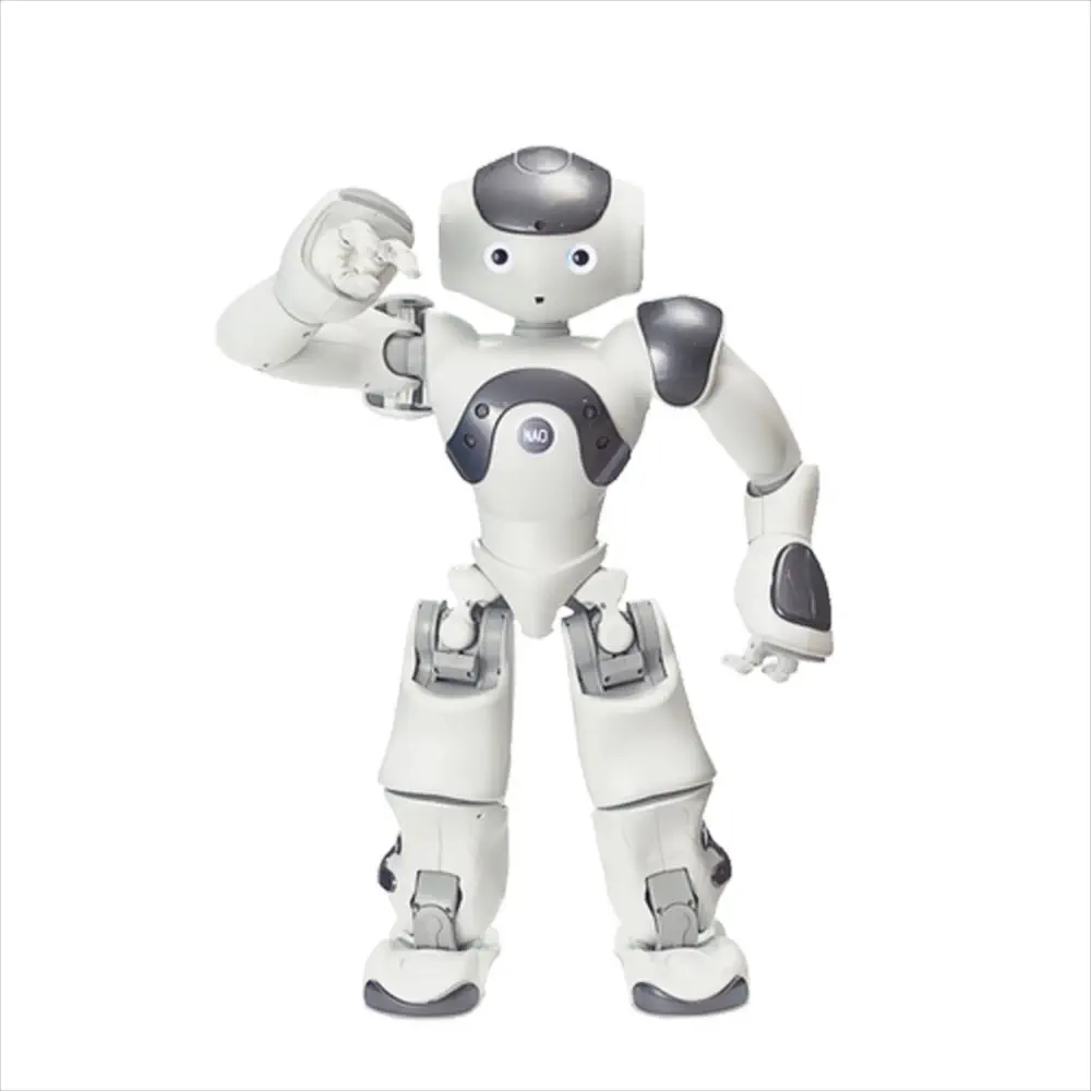 ZoraBots Nao V6 w/ Zora Solution — фото 2