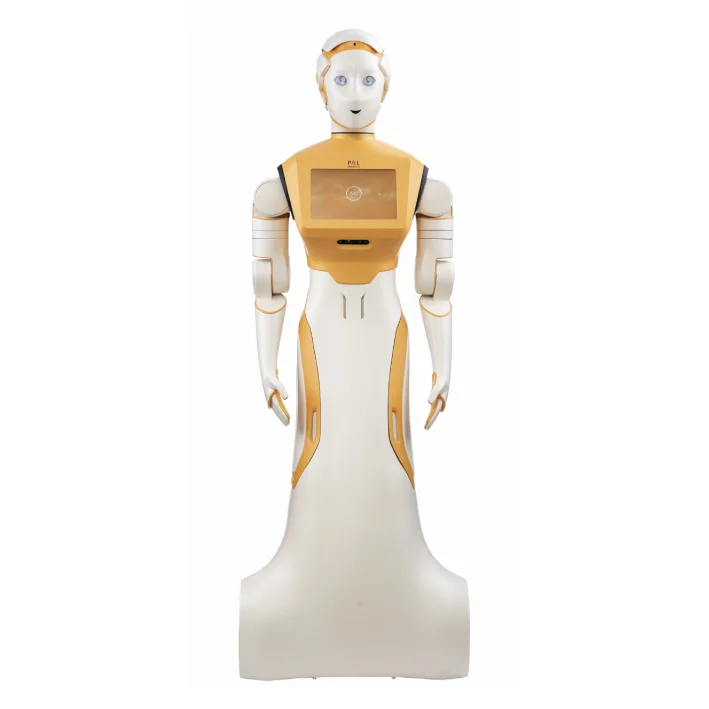 Робот Unknown Humanoid Robot Pal Robotics Ari powerful intelligent social percept...