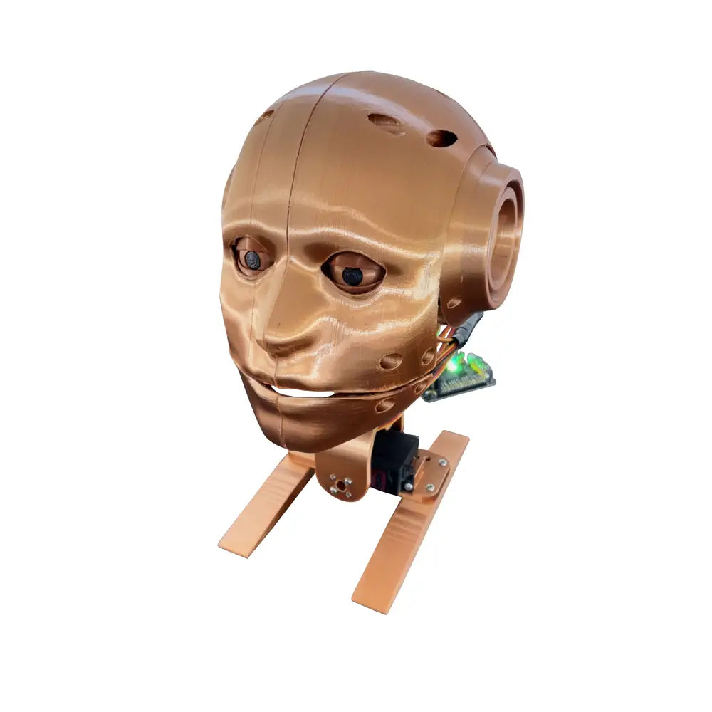 Робот Youbionic Youbionic Robot Head