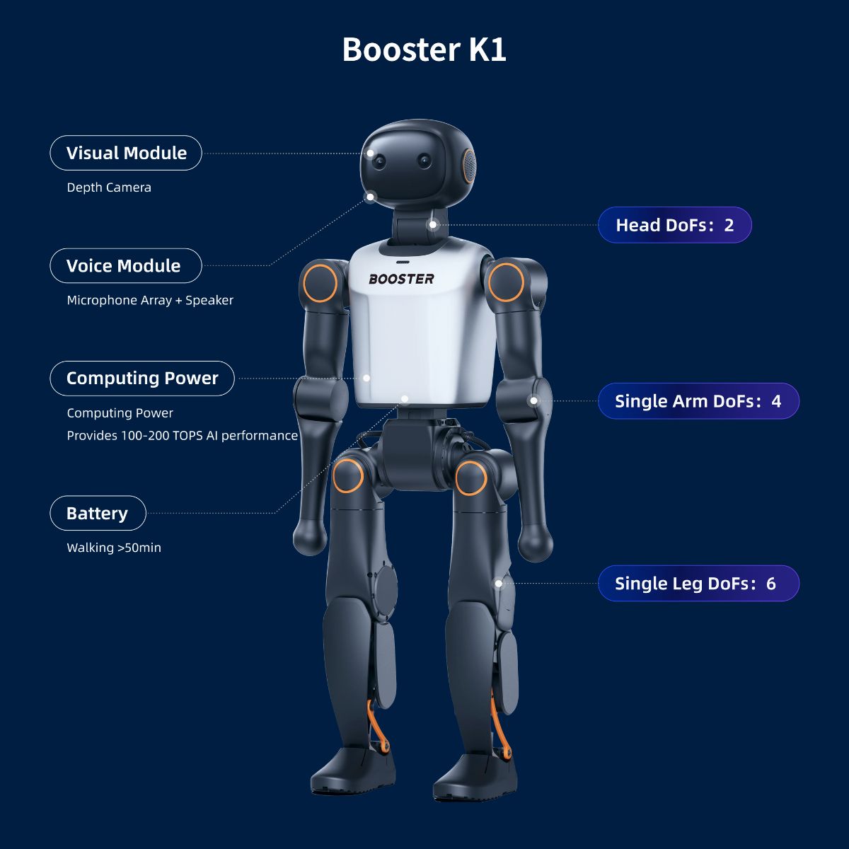 Booster Robotics K1 Professional Humanoid Robot — фото 5