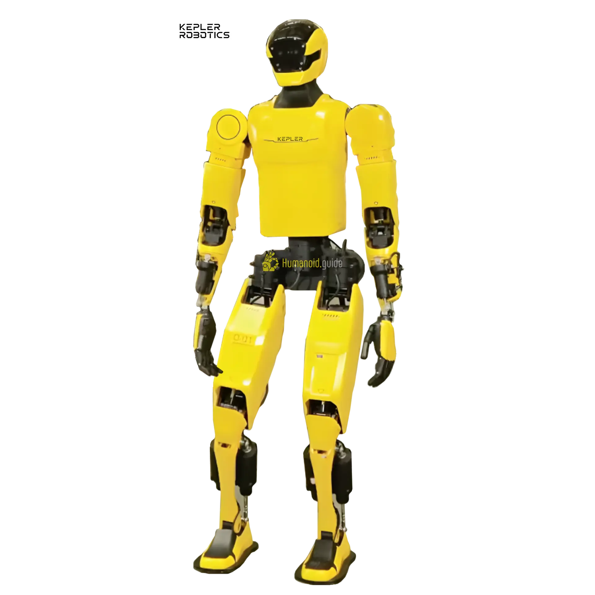 K2 Bumblebee — фото 2