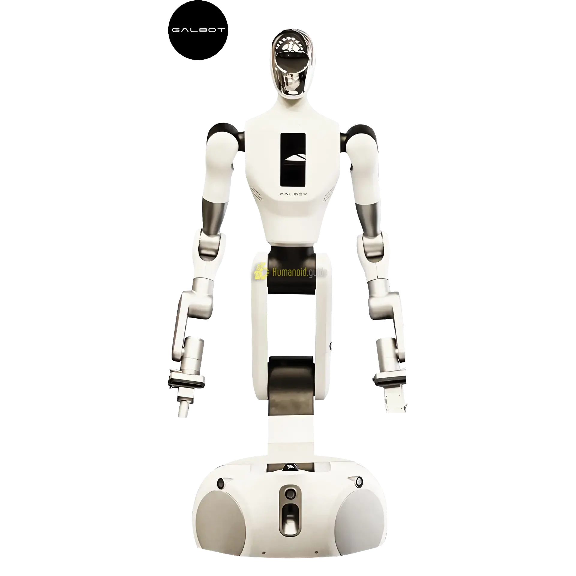 Galbot — фото 2