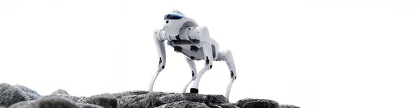 Cyberstars Cyber1 Edu Robotic Dog EU (Tech Gray) — фото 6