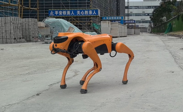 Cyberstars Cyber1 Edu Robotic Dog EU (Tech Gray) — фото 5