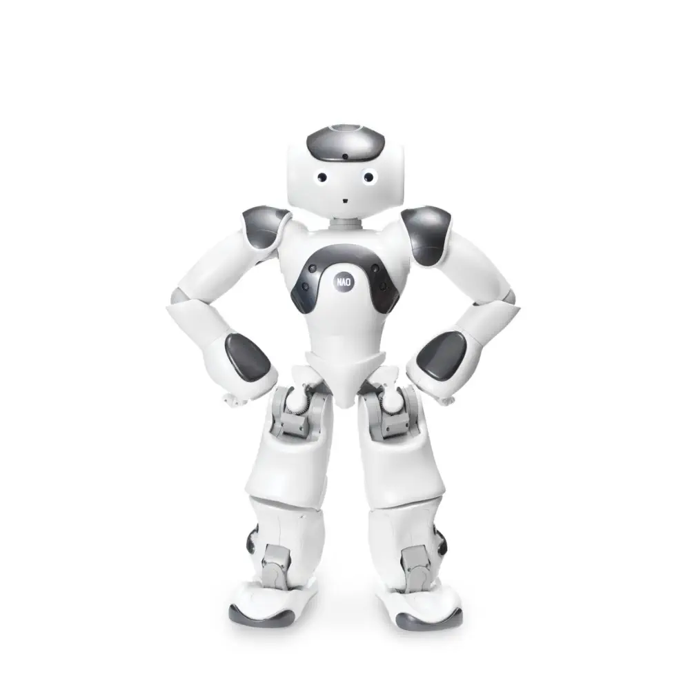 ZoraBots Nao V6 w/ Zora Solution — фото 3