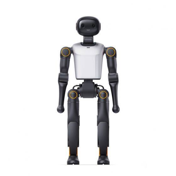Робот Booster Robotics K1 Geek