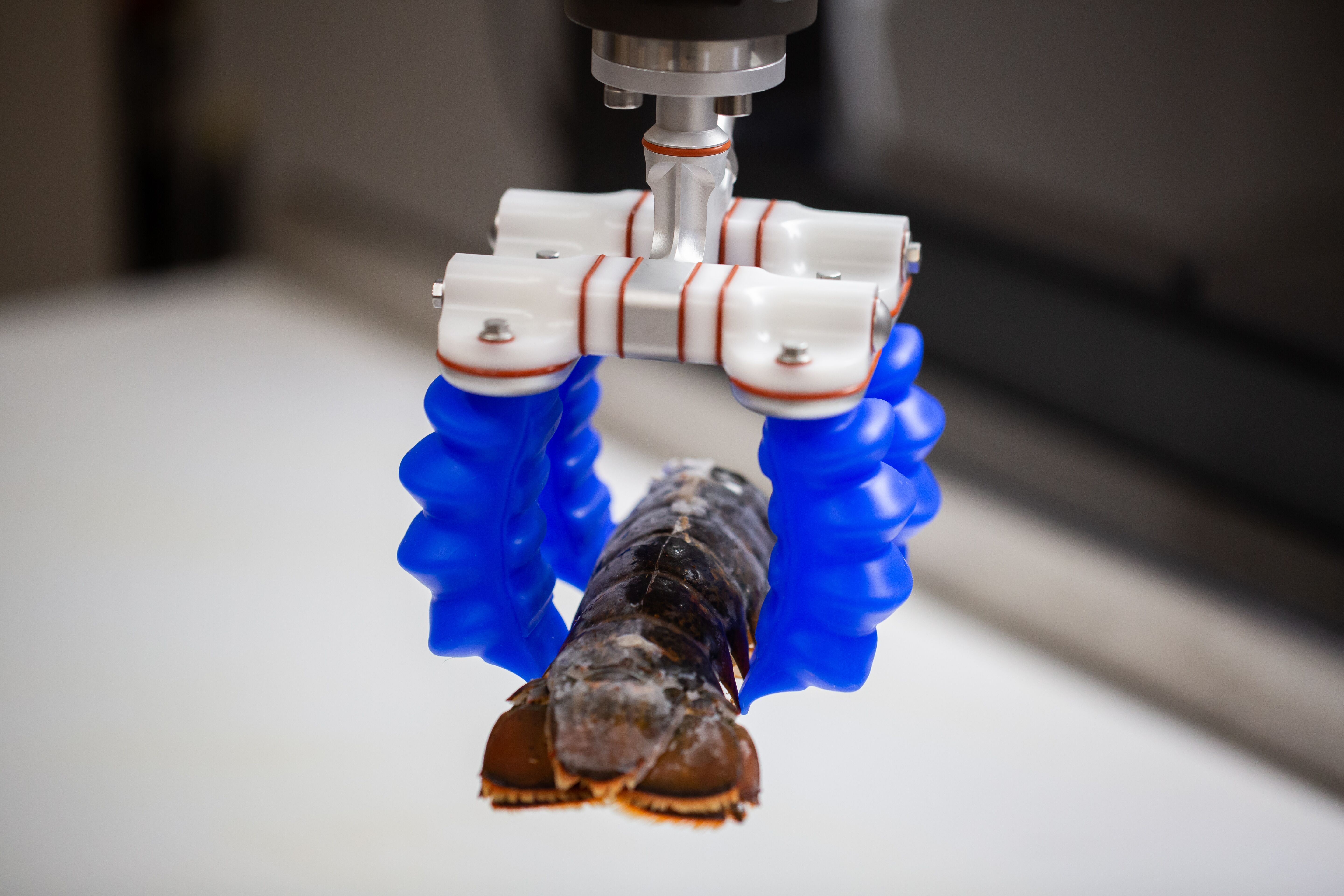 Робот Soft Robotics mGrip