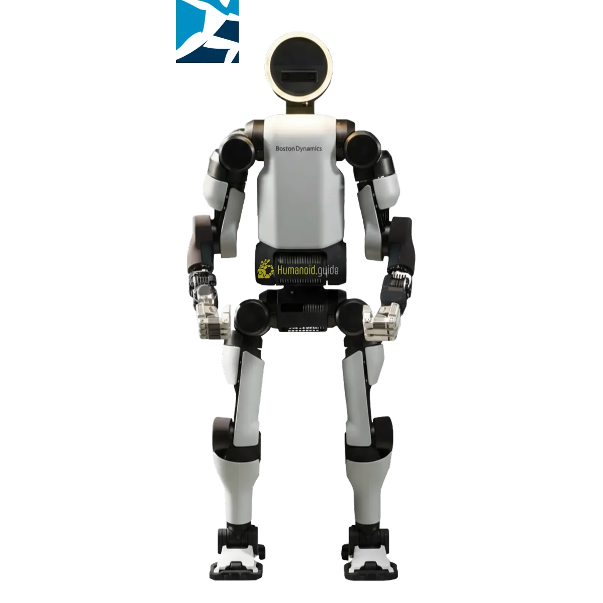 Boston Dynamics Atlas — Универсальные гуманоиды — фото 2