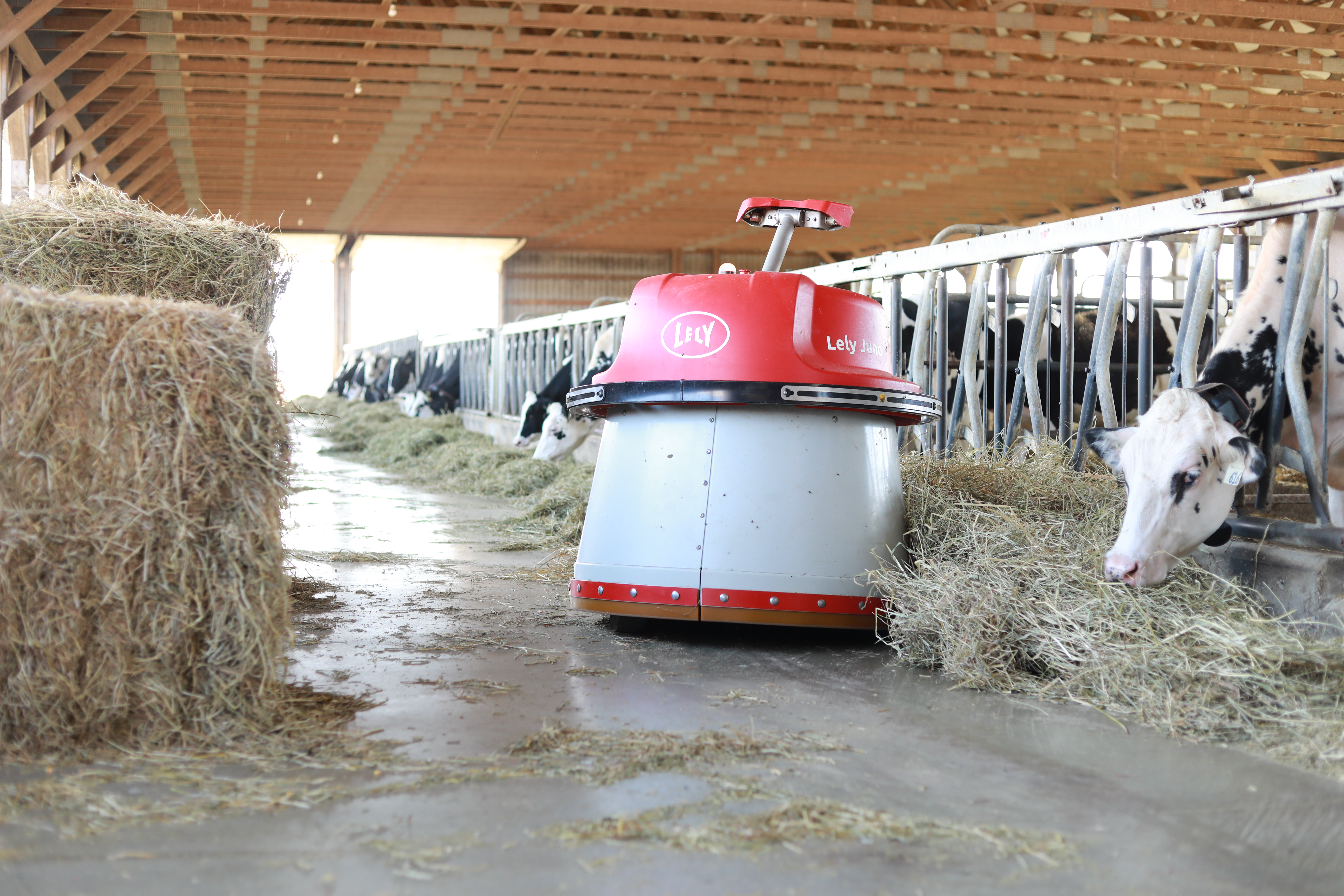 Робот Lely Juno Feed