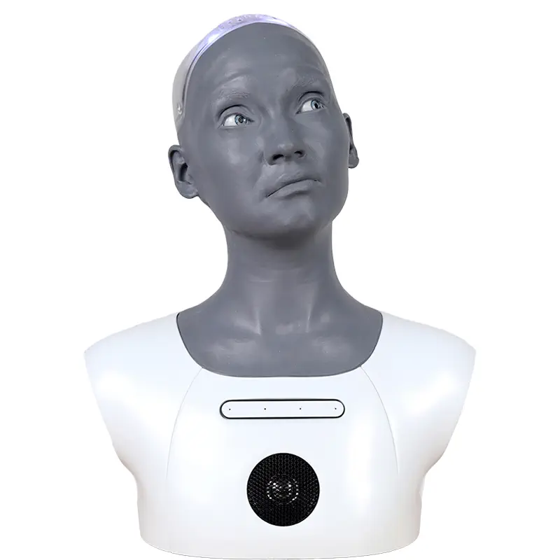 Engineered Arts Ami Desktop Social Humanoid Robot — фото 3