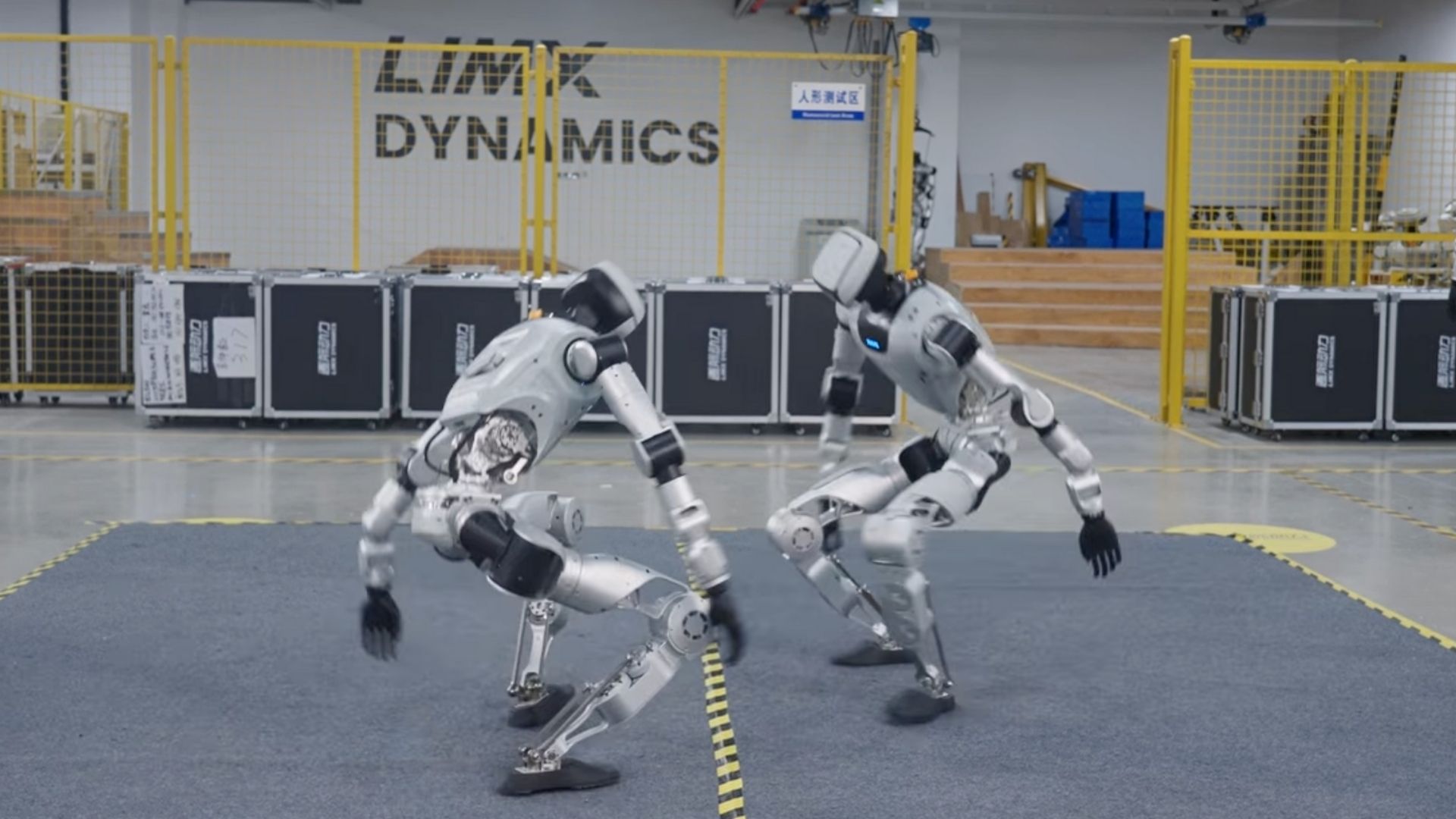 Limx Dynamics Oli EDU Humanoid Robot — фото 4